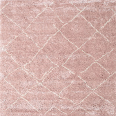 Indoor Rug