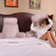 Faux Fur Backrest Pillow-60464074-60464073