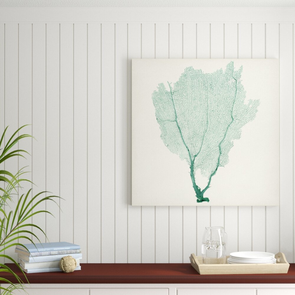 Leinwandbild Sea Fan I von Vision Studio