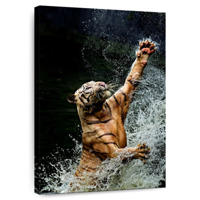 L'heure du bain du tigre de Brampt