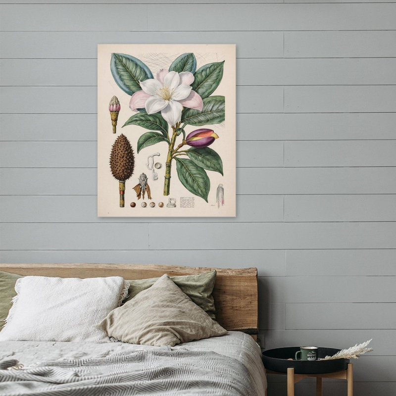 «Magnolia Botanical Print», art mural encadré en bois 16 po x 20 po