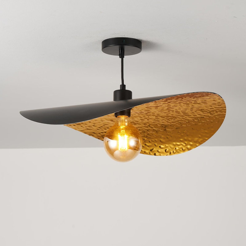 1 - Light Matte Black Novelty Pendant
