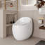 Toilette 1 pièce 1,28 GPF-114631459