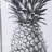" Pineapple "