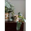 Myres Handmade Ceramic Pot Planter-73058438