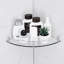 Carlena 2 Piece Triangle Glass Corner Shelf-556030105