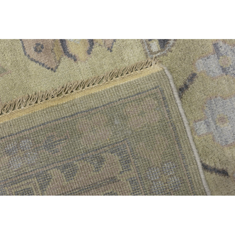 Performance Wool Oriental Indoor Rug