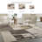 Chailee Rug-100334690