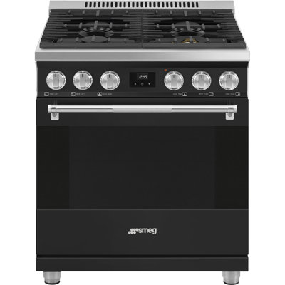 30" Professional Induction Range