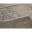 Windsom Oriental Area Rug