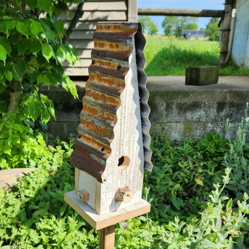Maison d'oiseaux Chippy White Large Church Wren