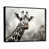 Black Floater Framed