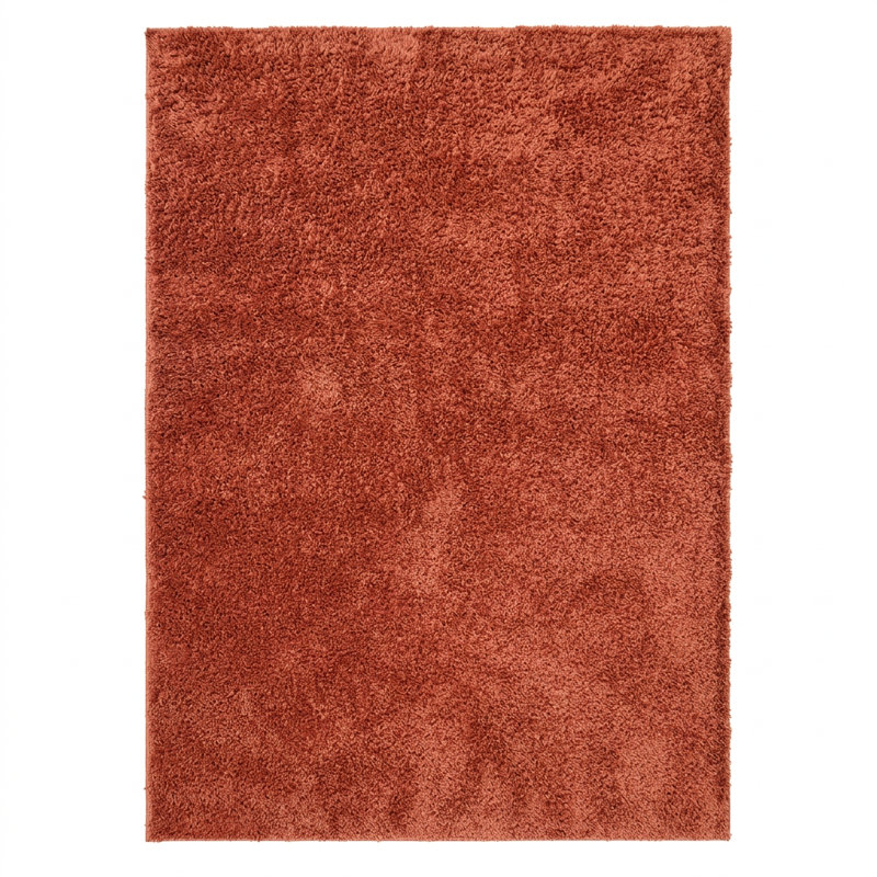Adavia Shaggy Rug, Terra, Rectangle 80 x 150 cm
