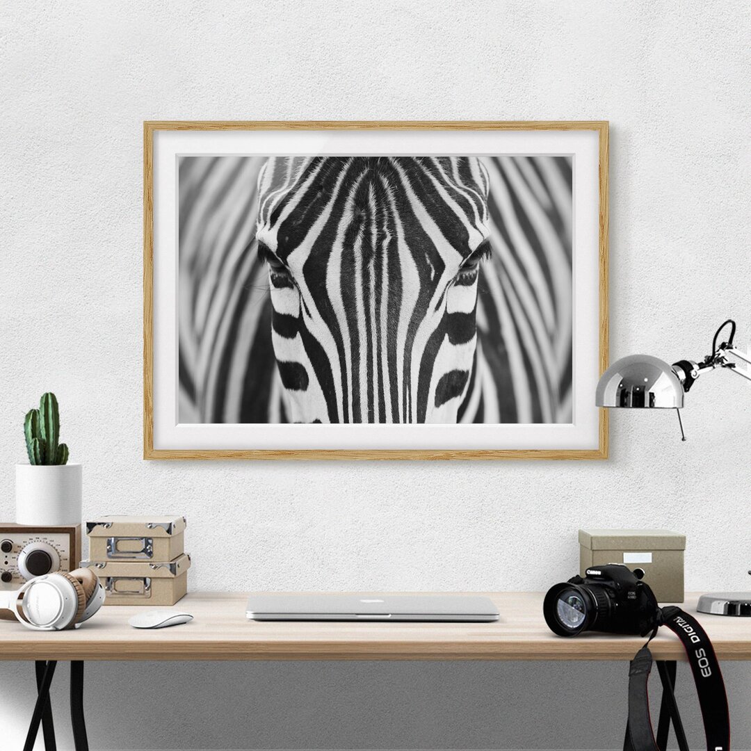 Gerahmtes Poster Zebra Look