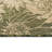 Vannoy Floral Indoor / Outdoor Rug-354496225