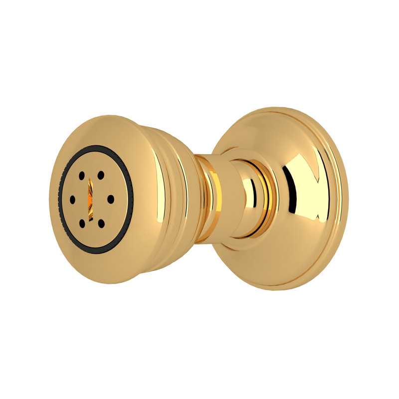 Rohl 2-Function Body Spray, Unlacquered Brass