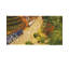 Wool Area Rug