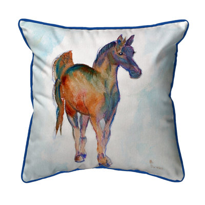 Coussin intérieur / extérieur Colt
