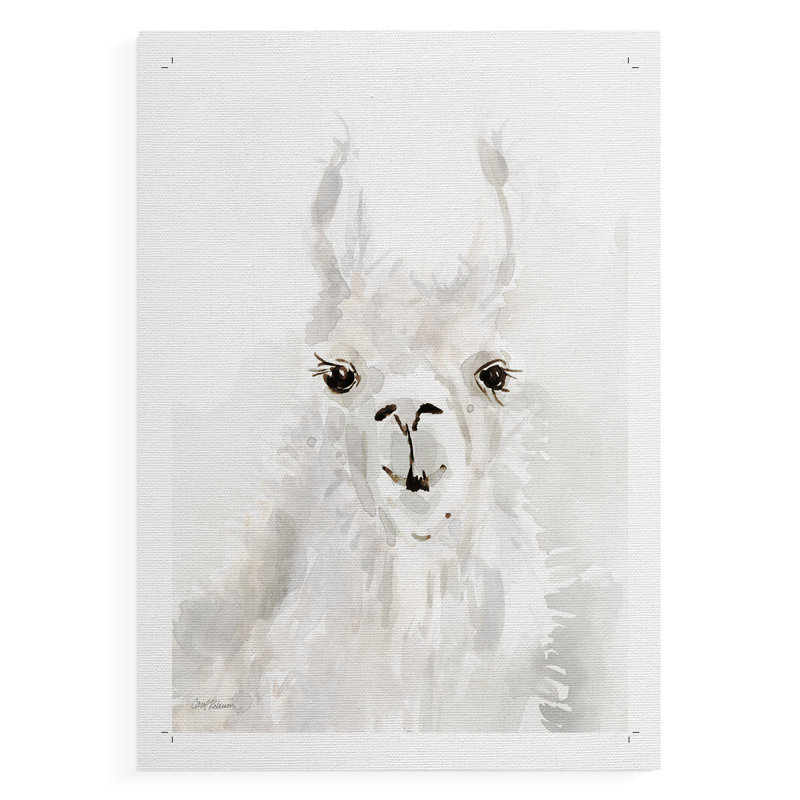 Sweet Llama I - impression sur toile seulement - NON CADRE, H 12 po x l 8 po