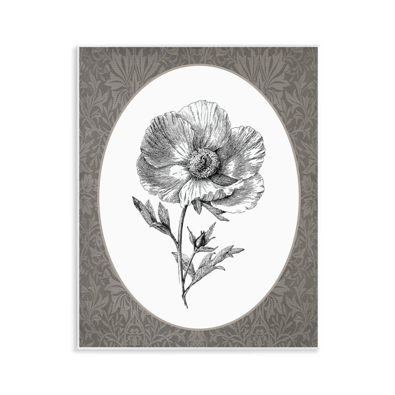 Art mural Anemone Sprig Vignette, par lettré et doublé