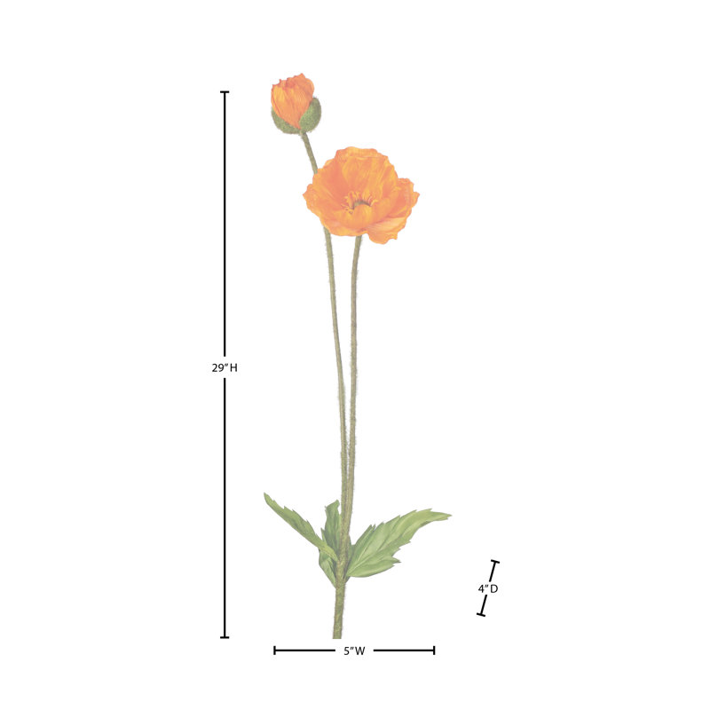 Coquelicot d'été + bourgeon 29 po , Orange