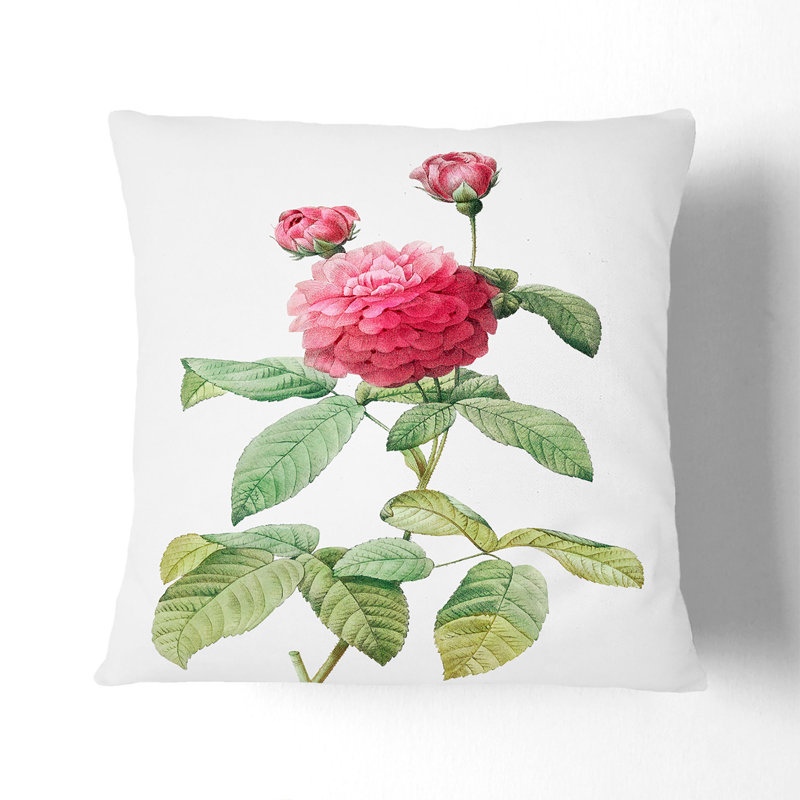 Agatha Rose by Pierre-Joseph Redoute Cushion with Filling, 55cm H x 55cm W x 20cm D, Stone