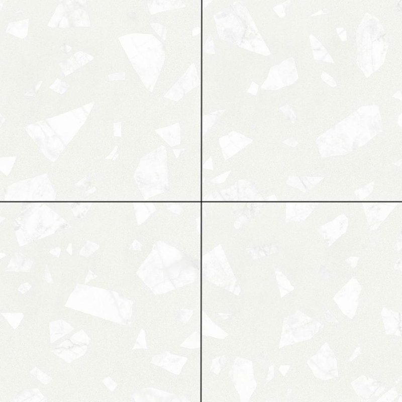 Carreau de mur et de plancher en porcelaine mate 24 po x 24 po Terrazzo 2.0, Blanc roche