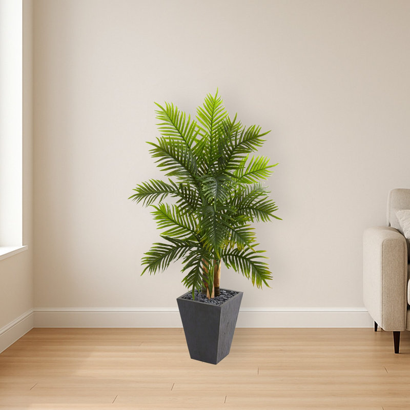 Areca Palm Tree in Slate Finished Planter