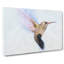 Flying Hummingbird Bird Painting - Wrapped Canvas-56655196
