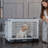 Pet Crate-97966504
