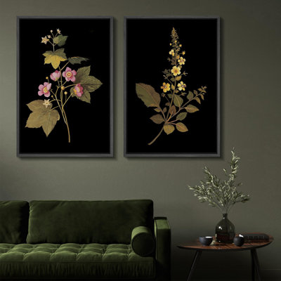 Élégance botanique, floral sur fond noir, nature, illustrations, décor