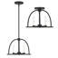 Aleena 3 Light Black Ceiling Mount-1228920540