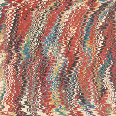 Florentin VII