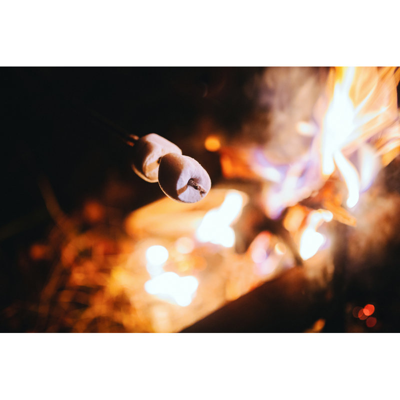 " Roasting Marshmallows " by Photominus, 8" H x 12" W