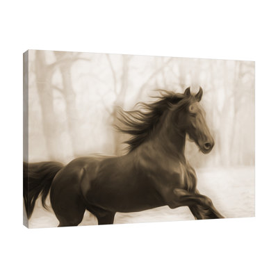 «Horse In The Wind» par Milli Villa - reproduction d'art sur toile tendue