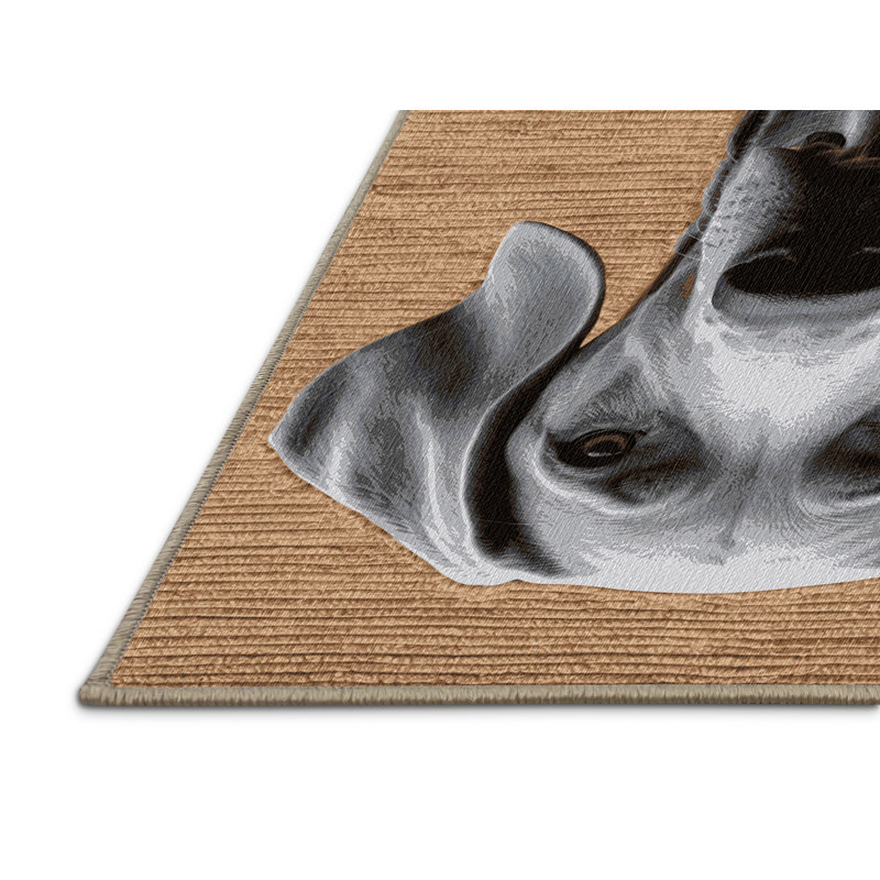  Tapis lavable pour chiens Weimaraner, Rond 3 pi