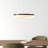 Danica 1-Light Chandelier