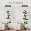Figuier artificiel figuier artificiel 7 pi-110257928