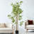 70.75 " H Faux Bamboo Tree in Cement Pot