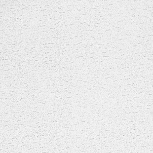 TEXTURED 2 ft. x 4 ft. Drop-In Mineral Fiber Ceiling Tile in White (Set of 10)