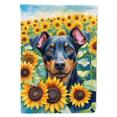 Drapeau de la maison du tournesol Malamute d'Alaska