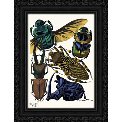 Insectes Pl.07 (1929)