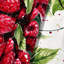 Tapisserie murale fruit framboise rouge-133646059