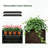 Tall Metal Planter Raised Garden Bed With Trellis 35.5In L X 11.9In W X 47.3In H - Large Flower Box Privacy Screen For Porch, Patio, Garden, Commercial Décor, Tulip Black