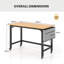 Alyxandra Metal Base Computer Desk-1657342805