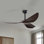 Ventilateur de plafond 3 pales avec télécommande Duncan