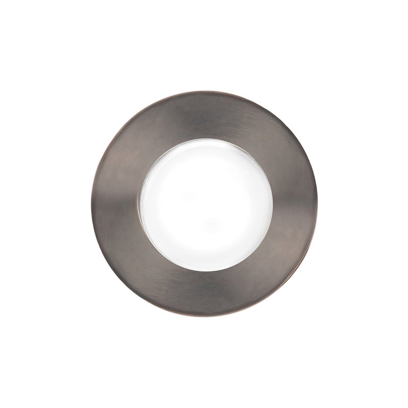 LED Well Light, Stainless Steel/Bronze