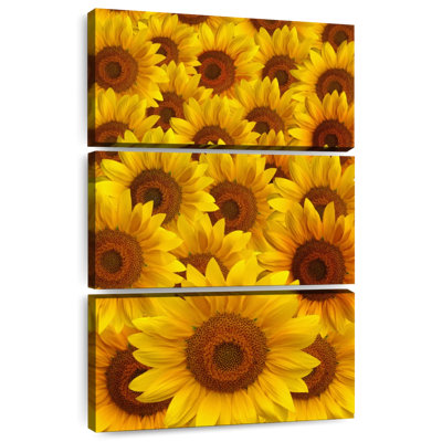Foule de tournesol