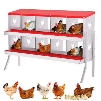 Chicken Coop