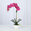 Silk Orchid Plant In White Vase-1870534632-1870534635